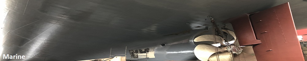 marine3.jpg